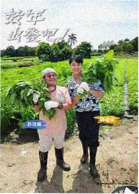 晨雾车站色彩修复
